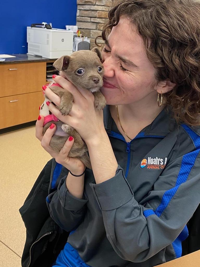 Award-winning Veterinary Care in Cincinnati